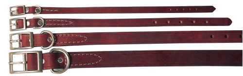 Flat Latigo Collar - 3/4 in. x 18 in.