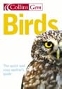 Birds Collins