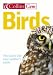 Birds (Collins GEM)
