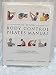 The official body control Pilates manual