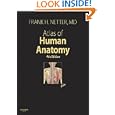 Atlas of Human Anatomy, 4th Edition by Frank H. Netter MD