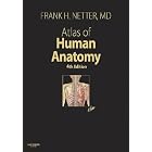 Click here to buy Atlas of Human Anatomy, 4th Edition by  Frank H. Netter.