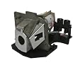 Optoma BL-FS180B Replacement Lamp for EP721/TS721/EP620/EP727/TX727/