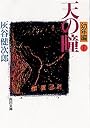 天の瞳 幼年編〈1〉 (角川文庫)