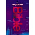 CEV Youth Bible : Contemporary English Version