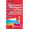 Pflegeassessment, Pflegediagnosen und Pflegeinterventionen in der ambulanten Pflege