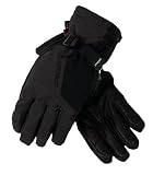 Spyder Men's Sestriere Gore Glove