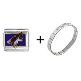 Nhl Phoenix Coyotes Italian Charm Bracelet