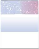 Business Voucher Check Stock - Versacheck Refills - 2500