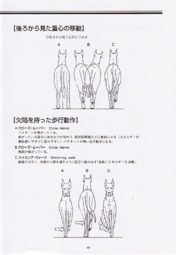 新 絵でみる犬の構成と歩様
