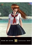 DEAD OR ALIVE 10th Anniversary Calendar 2007