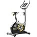Gold’s Gym Cycle Trainer 290 C Upright Exercise Bike