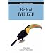 A naturalist in Belize