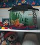 Aquarius AQ15002 Semi-hexagon 5-Gallon Aquarium with Hood and CFL lighting and Mini Might Internal Filter