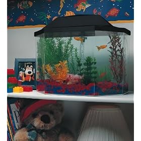 5 Gallon Aquarium System by