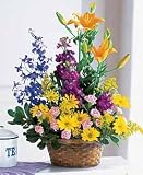 Stylish Thoughts Flower Basket