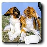 Dogs Borzoi - Borzoi - Mouse Pads