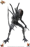 Movie Masterpiece - 1/6 Scale Fully Poseable Model: AVP - Alien Warrior