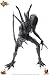 Movie Masterpiece - 1/6 Scale Fully Poseable Model: AVP - Alien Warrior