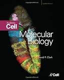 Molecular Biology