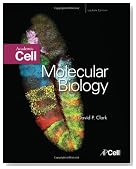 Molecular Biology