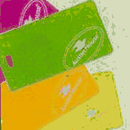Neon Luggage Tags by Austin House