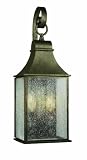 World Imports 61308-06 Revere Collection Outdoor 2-Light Wall Lantern, Flemish