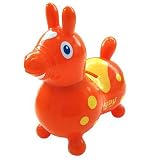 ロディ コインバンク (オレンジ)の画像