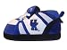 Kentucky Wildcats