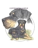 Rottweiler - Trio Image by Cindy Farmer