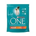 ONE Adult reich an Huhn 300g Katzenfutter (2er Pack) von Purina