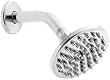 Delta Sunflower 4-Inch Shower Head, Chrome #75161