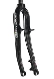 RITCHEY（リッチー）WCS カーボン MTN MTB Fフォーク