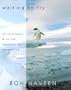Waiting to Fly: My Escapades With The Penguins Of Antarctica