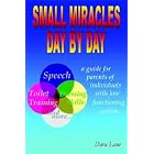 Small Miracles Day by Day: A Guide for Parents of Individuals with Low Functioning Autism by  Dara Lane