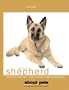 German Shepard (About Pets)