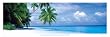 Fihalhohi Island - The Maldives - Door Poster (Size: 63'' x 21'')