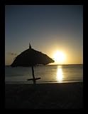 Aruba (Beach, Sunset) Gold Wood-Mounted Art Poster Print - 13