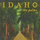 Palms by  Idaho 