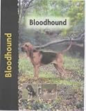 Bloodhound (Pet Love)
