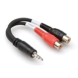 Hosa Cable YRA154 Stereo 1/8 Male to Dual RCA Female Y Cable - 6 Inch