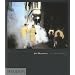 Joel Meyerowitz