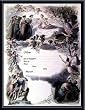 Art Poster Metal Framed Print - Birth Certificate - Artist: unknown- Poster Size: 18 X 14
