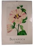 2008 Botanica Vintage Prints Wall Calendar 13 By 19 Inches Cream Laid Paper Finish