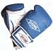 RingMaster - Sparring Gloves
