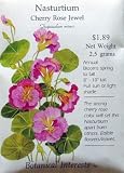 Nasturtium Cherry Rose Jewel Seeds