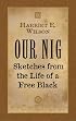 Our Nig: Sketches from the Life of a Free Black (Dover African-American Books)