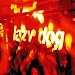 Lazy Dog Vol.2