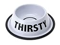 PT Pet Drinking Bowl Thirsty White