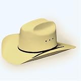 10X Panama-style Cowboy Hat